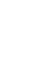 NT